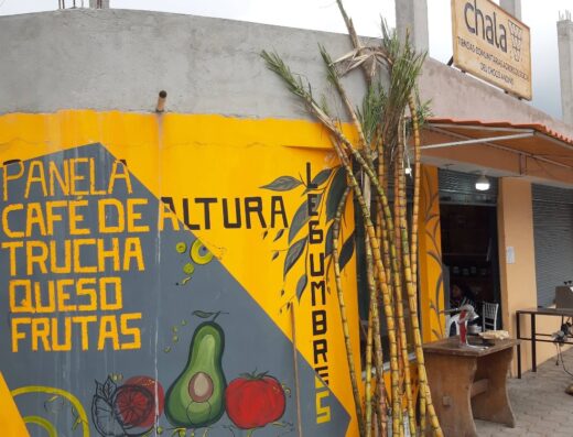 Donde comprar orgánico Donde comprar sano Busco agroecológico Busco orgánico.com